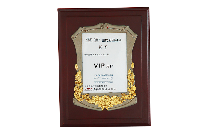 現（xiàn）代起亞機械授予茲VIP用戶