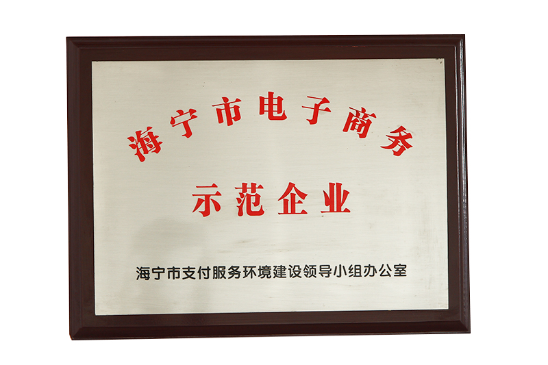 海寧市（shì）電子（zǐ）商務示範企業